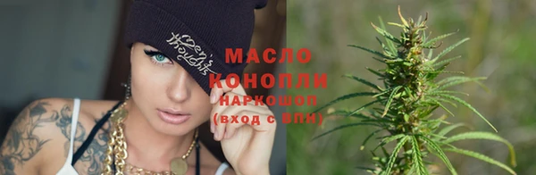прущие грибы Алзамай