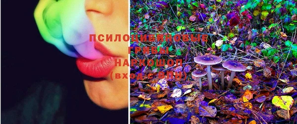 2c-b Алексеевка