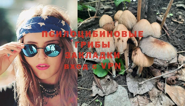 амф Абинск