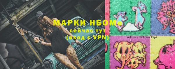 прущие грибы Алзамай