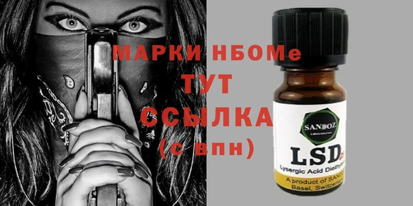 прущие грибы Алзамай